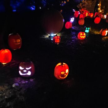Harvest Nights at Newfields - More pumpkins.... - Festivals Near Me - Indianapolis, Indiana