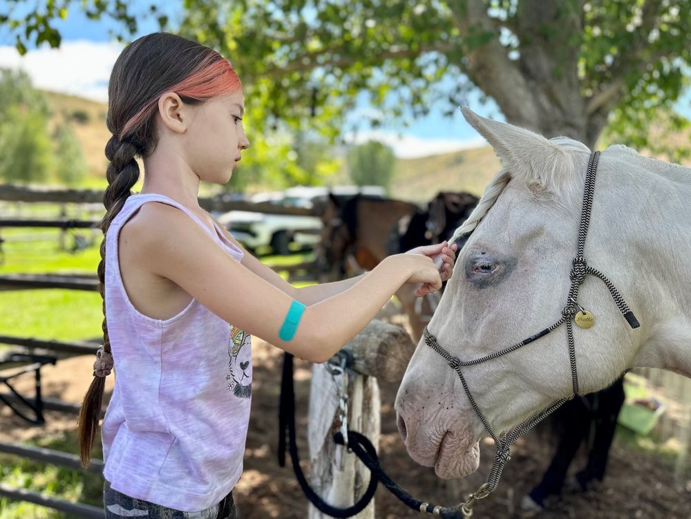 Wind In Your Hair Riding - equestrian in Wanship, UT