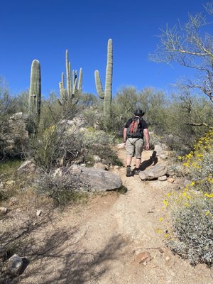 Honey Bee Canyon by null