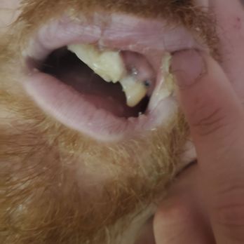 PARK ROSE CARE CENTER - Updated March 2025 - 10 Photos & 11 Reviews