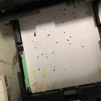 Extra Space Storage - Pooped-on inside of printer - Self Storage Near Me - Washington, DC, District of Columbia Extra Space Storage - Pooped-on inside of printer - Self Storage Near Me - Washington, DC, District of Columbia