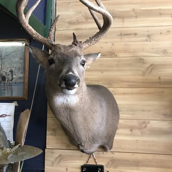 Antlers and Everything Taxidermy - Taxidermy Near Me - Baltimore, Ohio Antlers and Everything Taxidermy - Taxidermy Near Me - Baltimore, Ohio