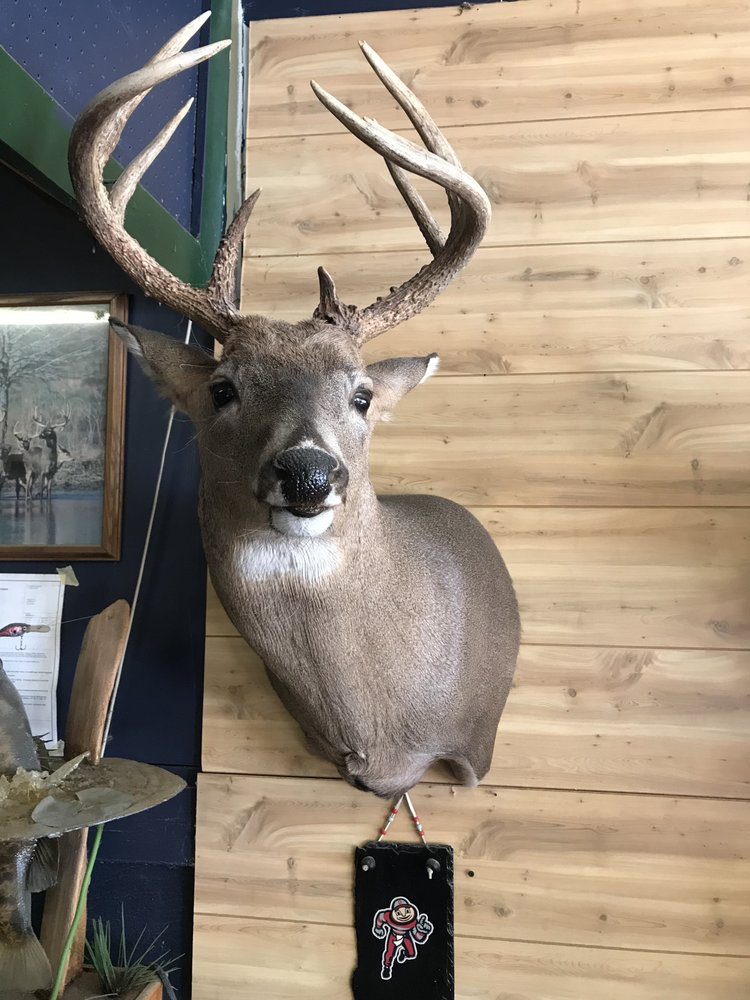 ANTLERS AND EVERYTHING TAXIDERMY Updated August 2024 626 West