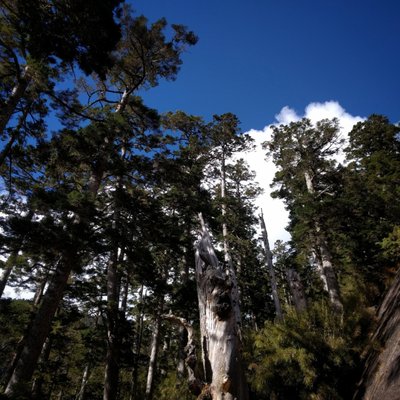 Yushan by null
