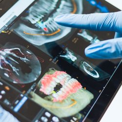 Stone Ridge Endodontics