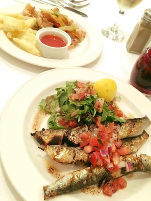Fish Central by null