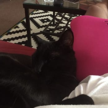 Associated Humane Societies - Love him to pieces !! - Community Service/Non-Profit Near Me - Newark, New Jersey