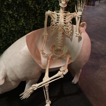 Jamon Jamon - Halloween decor - Tapas Bars Near Me - San Juan, Puerto Rico