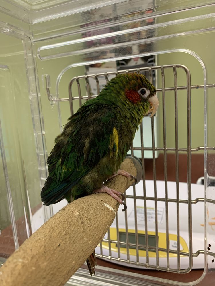 SOUTHWEST ANIMAL HOSPITAL Updated September 2024 38 Photos & 11