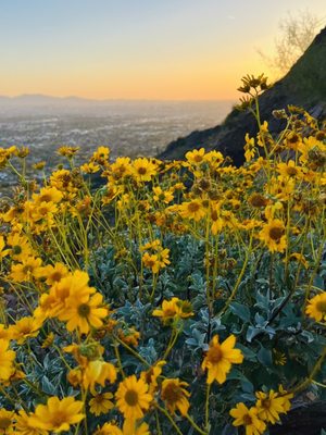 Camelback Mountain by null