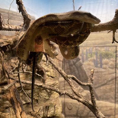 Fort Worth Zoo by null