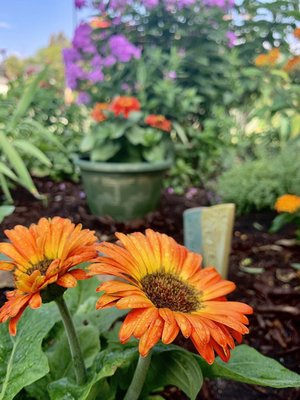 Edina Highland Villa