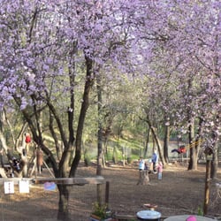 Cedar Springs Waldorf School - Kindergarten play ground.