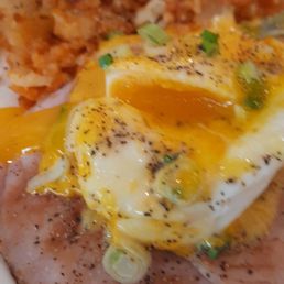 Eggs benny w/oozy poached yolks Eggs benny w/oozy poached yolks