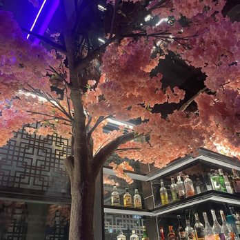 Ten Sushi - Sushi Bars Near Me - Houston, Texas Ten Sushi - Sushi Bars Near Me - Houston, Texas