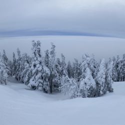 Stowe Mountain Resort - 1.28.24