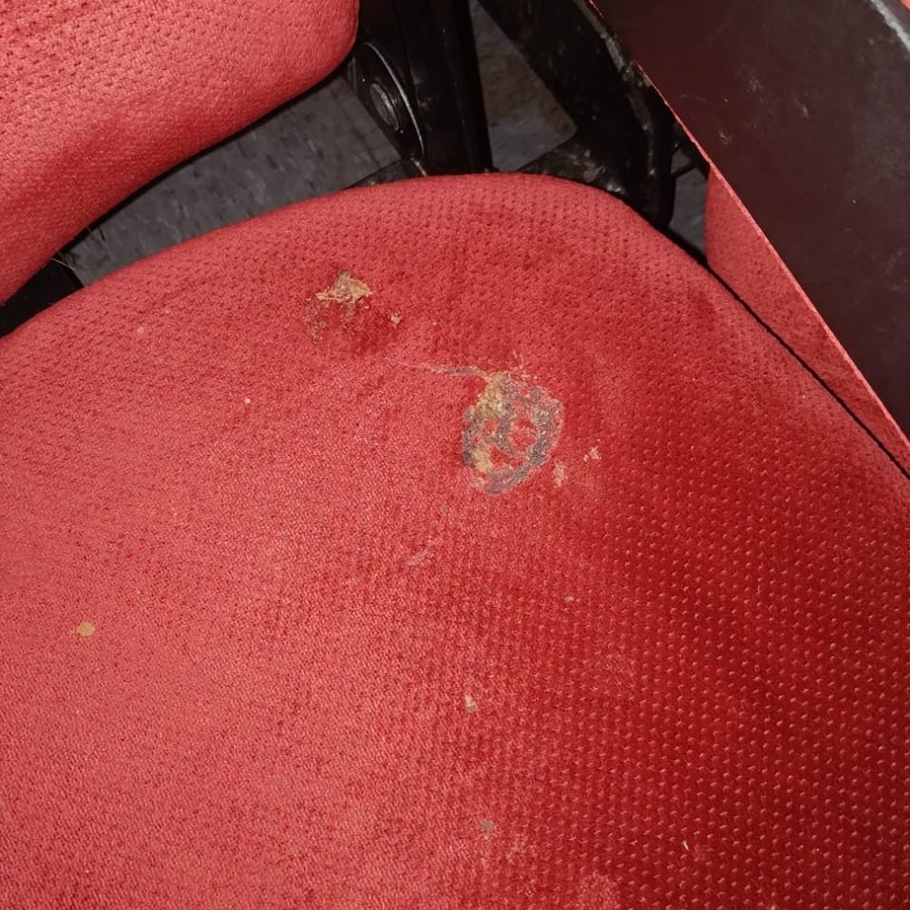 AMC Niles 12 - Disgusting!! - Cinema Near Me - Niles, Illinois