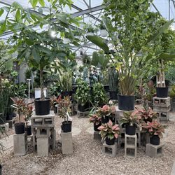 Plants & Planters