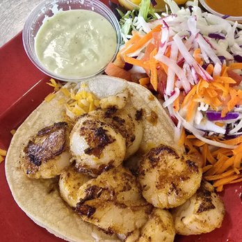 Taco Temple - Scallop Taco - Mexican Near Me - Morro Bay, California Taco Temple - Scallop Taco - Mexican Near Me - Morro Bay, California