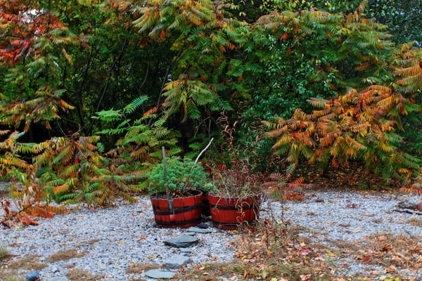 Forest Hills Cemetery by null