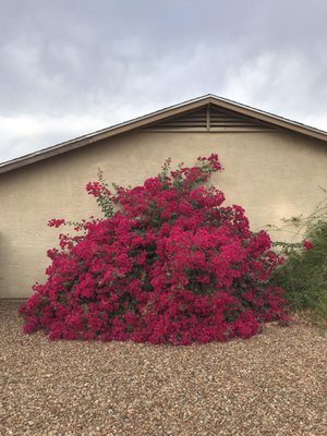 Deer Valley Park by null