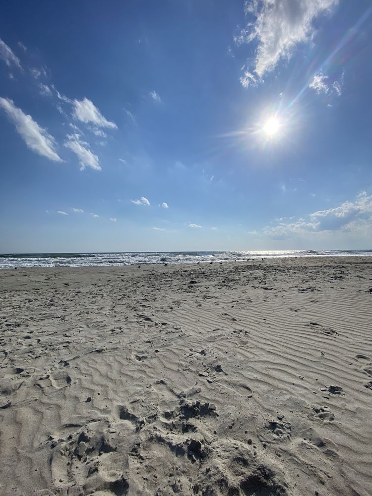 Atlantic Beach at Fort Macon Image