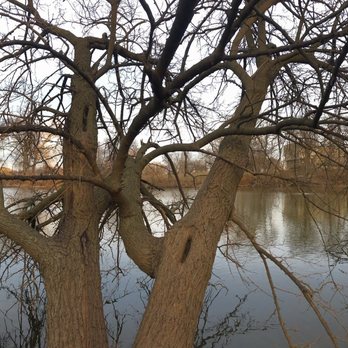 North Pond Nature Sanctuary - Parks Near Me - Chicago, Illinois
