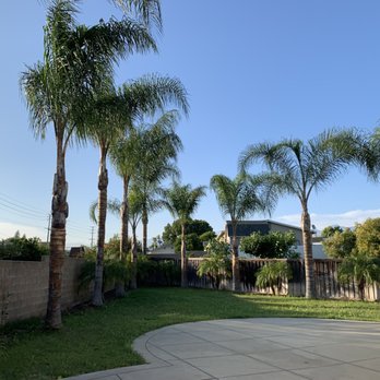 Empire Tree Service - Tree Services Near Me - Upland, California Empire Tree Service - Tree Services Near Me - Upland, California
