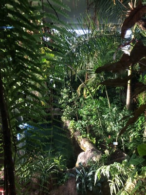 La Rochelle Aquarium by null