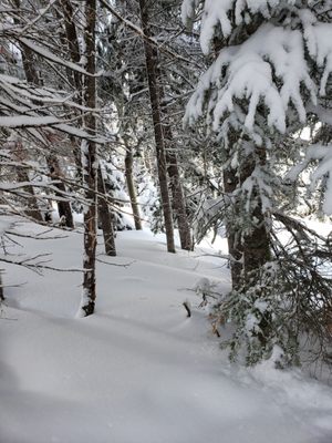Powderhorn Mountain Resort by null