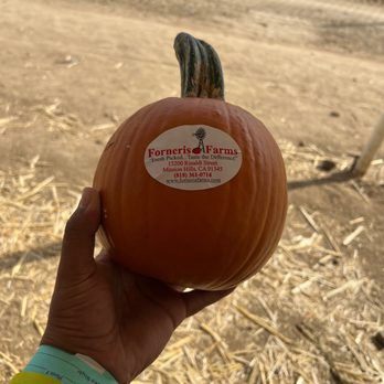 Forneris Farms - a hand holding a pumpkin - Farmers Market Near Me - Mission Hills, California Forneris Farms - a hand holding a pumpkin - Farmers Market Near Me - Mission Hills, California