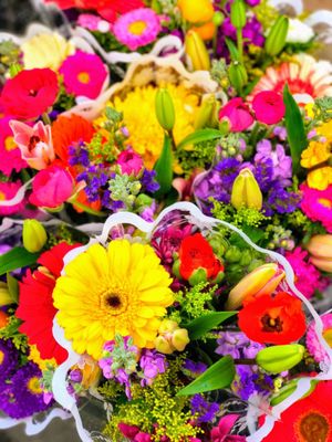 Santa Clara Farmers Market by null