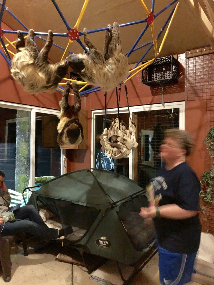 THE SLOTH CENTER AT ZOOLOGICAL WILDLIFE CONSERVATION CENTER - CLOSED