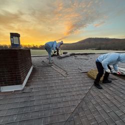 Dynasty Roofing