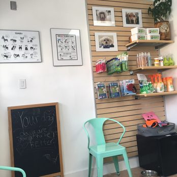 Dog Friendly Grooms - Pet Groomers Near Me - Ridgewood, New York