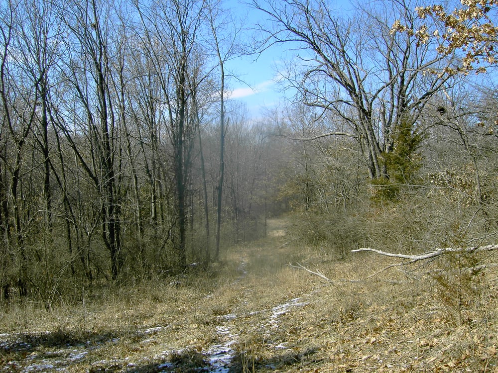 It's Our Wild Nature - social services organization in Columbia, MO