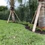 Photo of Tropical Gardens Landscape
