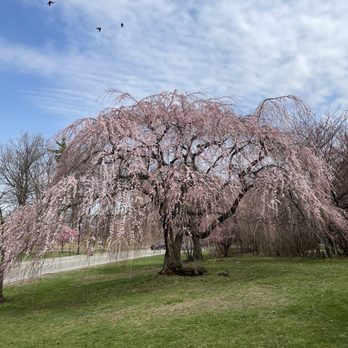 Branch Brook Park - Parks Near Me - Newark, New Jersey
