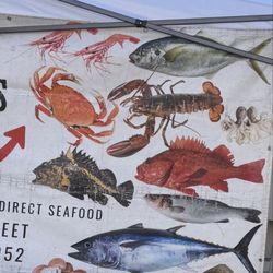North Beach Farmers Market - I see these heads get salty by the water on my social media feed