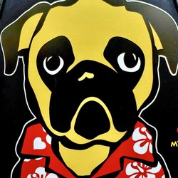 Soundview Pet & Garden Care