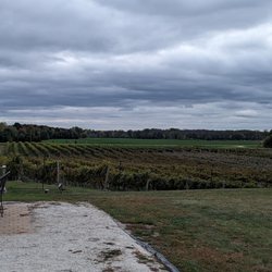 Parallel 44 Vineyard and Winery - If the grapes could talk, what would they say?