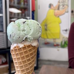 Two Scoops - Gator Tracks Ice Cream & Mint Chocolate Chip Ice Cream