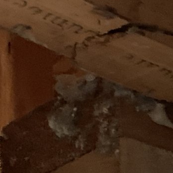 J Neff Inspections & Consulting - A crack in the wood under the first floor bathroom. That you can see now that the office cell longs have fallen down. - Home Inspectors Near Me - Saint Clair, Missouri J Neff Inspections & Consulting - A crack in the wood under the first floor bathroom. That you can see now that the office cell longs have fallen down. - Home Inspectors Near Me - Saint Clair, Missouri
