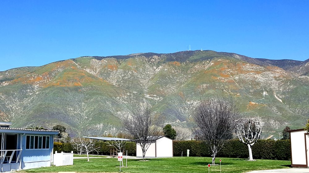 HERITAGE RANCH COMMUNITY ASSOCIATION Updated September 2024 11