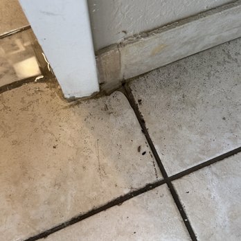 Emerald Beach Bar - Rat poop - Tiki Bars Near Me - Saint Thomas, Virgin Islands