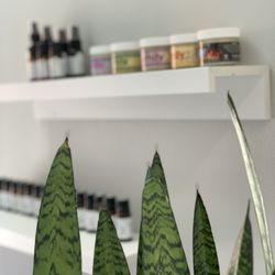 Nurturing LIfe Acupuncture & Wellness