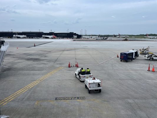 BWI THURGOOD MARSHALL AIRPORT - CONCOURSE D - Updated August 2025 - 324