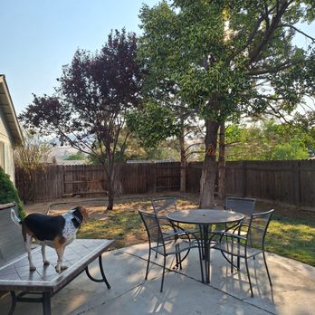 Bear Mountain Arborist - backyard after - Tree Services Near Me Bear Mountain Arborist - backyard after - Tree Services Near Me