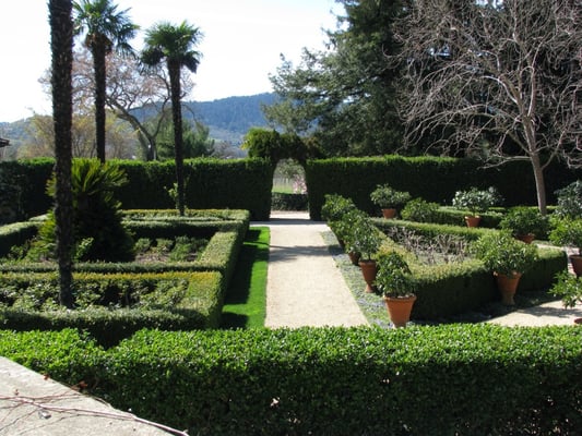 Chateau St. Jean Winery by null