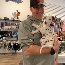 Modern Companion - Gus's first visit to Modern Companion after mom & dad picked him up.